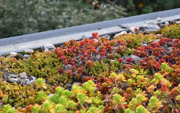 the cost of Letter green roof installation
