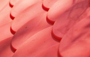 Letter plastic roof costs